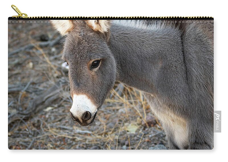 Wild Burros Zip Pouch featuring the photograph Fuzzy Ears by Mary Hone