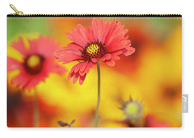  Zip Pouch featuring the photograph Gaillardia's Glory by Jenny Rainbow