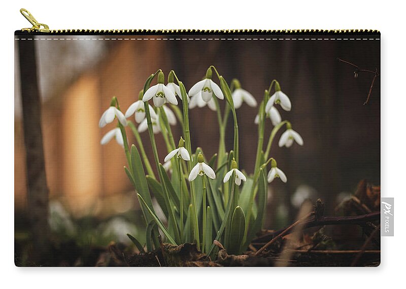 Europe Zip Pouch featuring the photograph Galanthus nivalis - spring fairytale awakening by Vaclav Sonnek