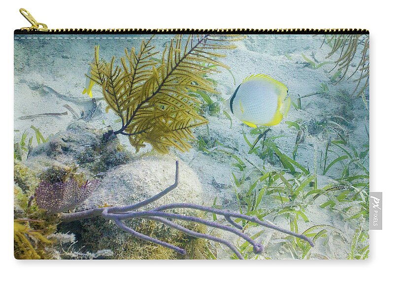 Animals Carry-all Pouch featuring the photograph Garden Spot by Lynne Browne