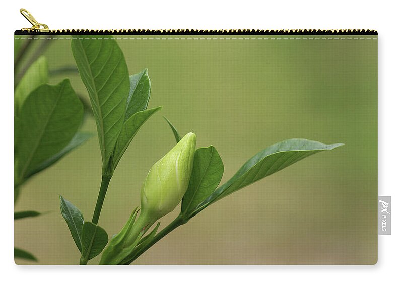  Zip Pouch featuring the photograph Gardenia Bud by Heather E Harman