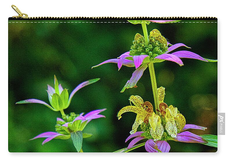 Plant Zip Pouch featuring the photograph Gentian by Bill Barber
