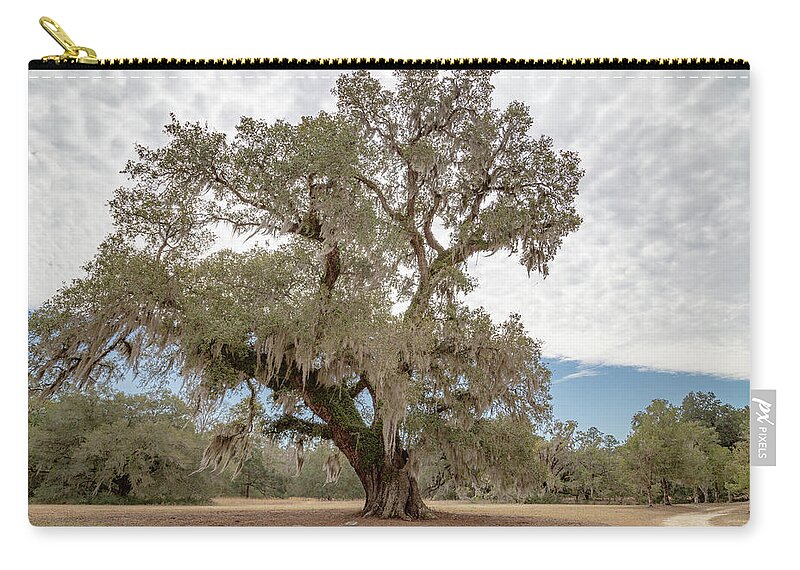 Oak Trees Zip Pouch featuring the photograph George Washington Oak by Cindy Robinson