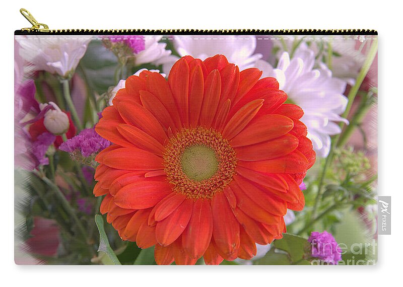 Flowers Zip Pouch featuring the photograph Gerbera Daisy Closeup by Kae Cheatham