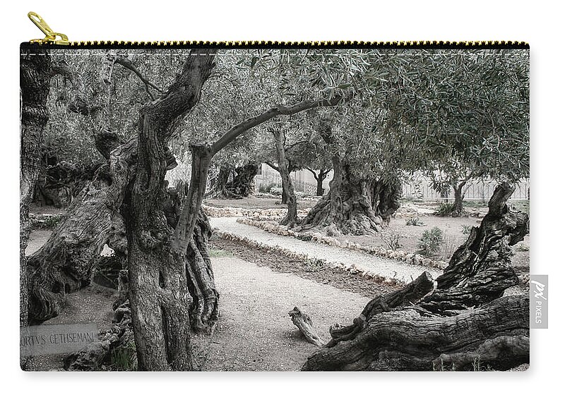 Israel Zip Pouch featuring the photograph Gethsemane by M Kathleen Warren