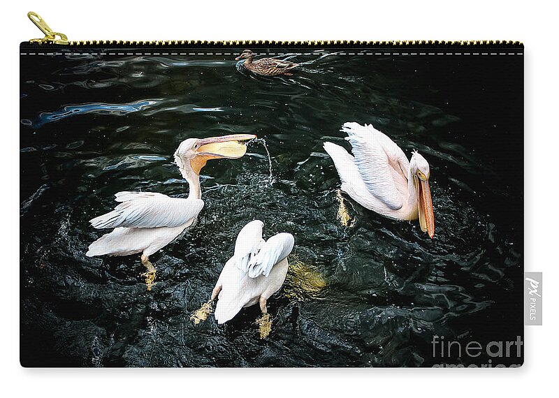 Pelicans Zip Pouch featuring the photograph Getting a Bite to Eat in London by Veronica Batterson