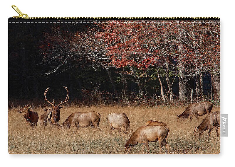 Elk Zip Pouch featuring the photograph Getting Noticed by Gina Fitzhugh