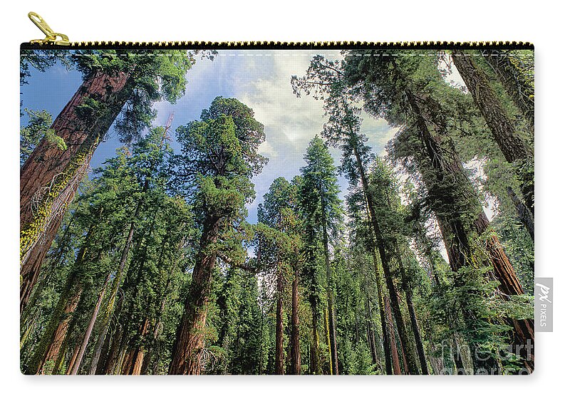 Dave Welling Carry-all Pouch featuring the photograph Giant Sequoias Sequoiadendron Gigantium Yosemite by Dave Welling