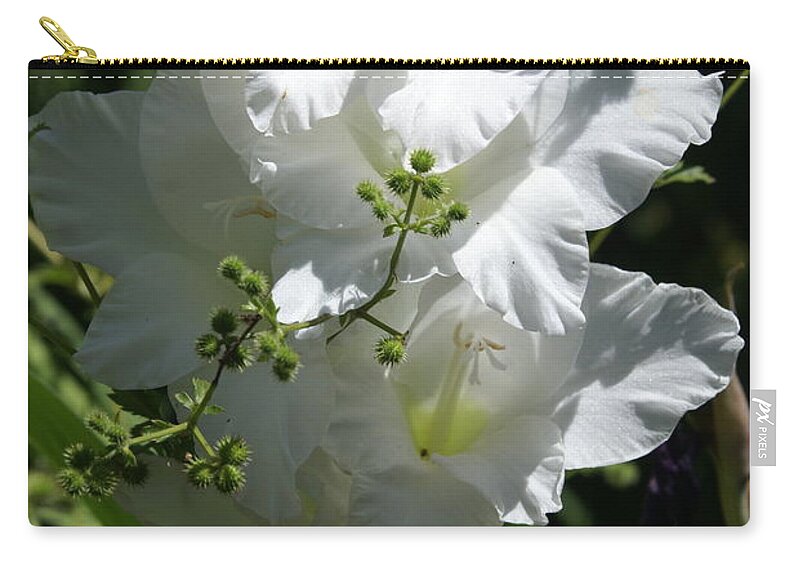  Carry-all Pouch featuring the photograph Gladiolus by Heather E Harman