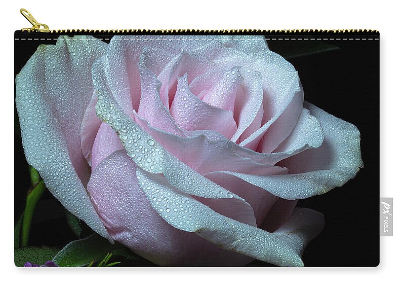 Rose Zip Pouch featuring the photograph Glimmerant by Doug Norkum