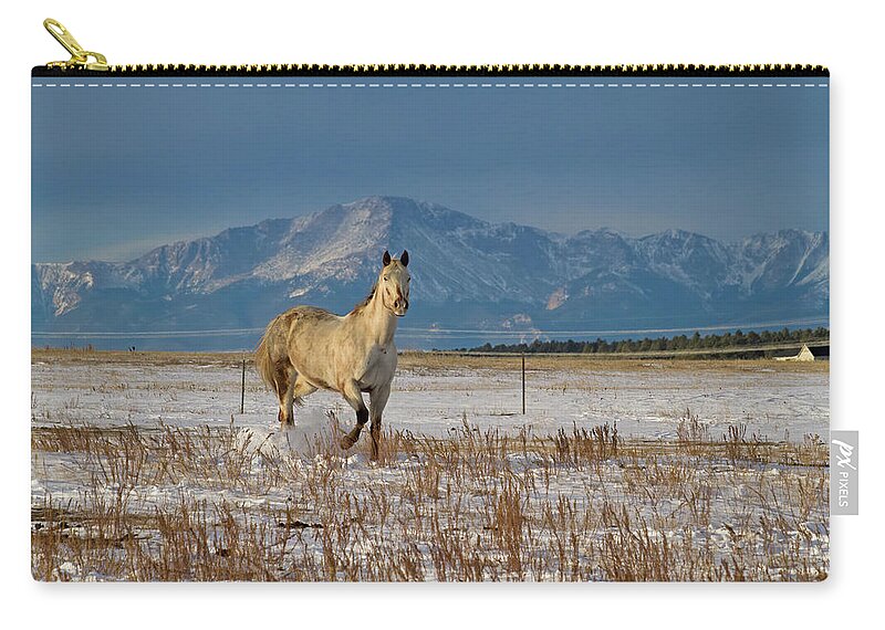 Horse Zip Pouch featuring the photograph Glory Dancing by Alana Thrower