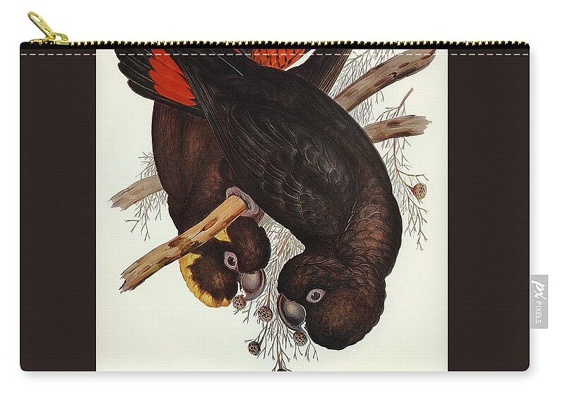 Black Cockatoo Zip Pouch featuring the mixed media Glossy Black Cockatoo by World Art Collective