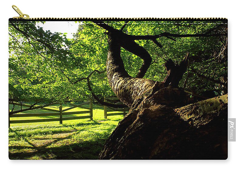 Afternoon Sun Carry-all Pouch featuring the photograph Gnarled Tree and Rustic Fence in Golden Hour by Steve Ember