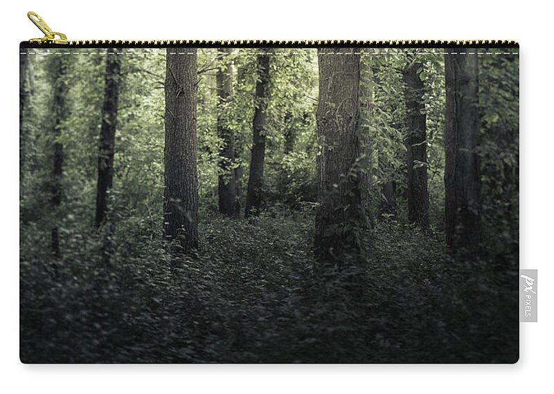 Woods Zip Pouch featuring the photograph Go Forth by Shane Holsclaw