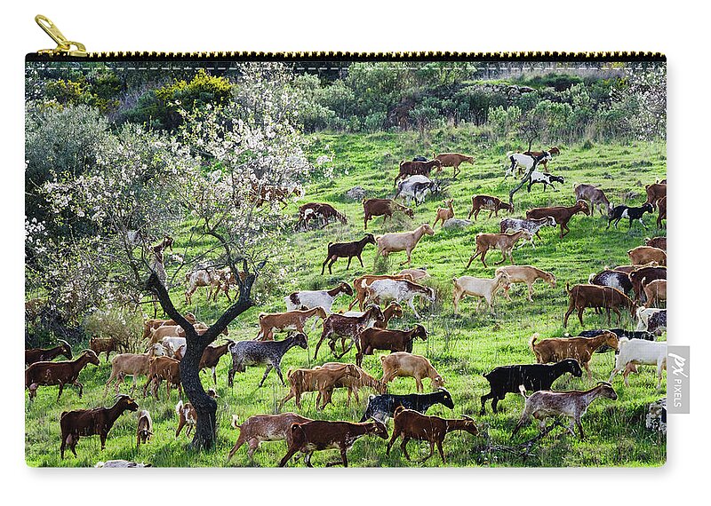 Goats Zip Pouch featuring the photograph Goats and Almonds by Gary Browne