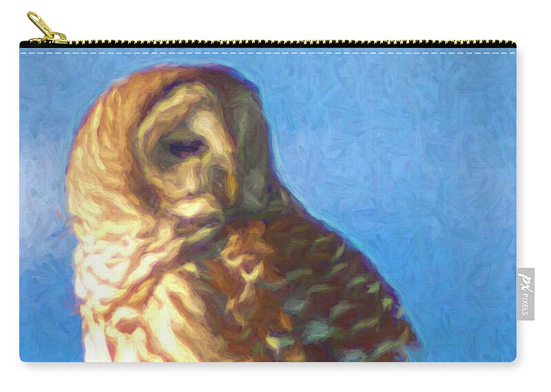 Barred Owl Zip Pouch featuring the photograph Goddess on a Mountaintop by Xine Segalas