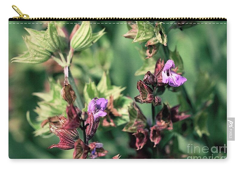 Sage Zip Pouch featuring the photograph Going to seed by Shawn Jeffries