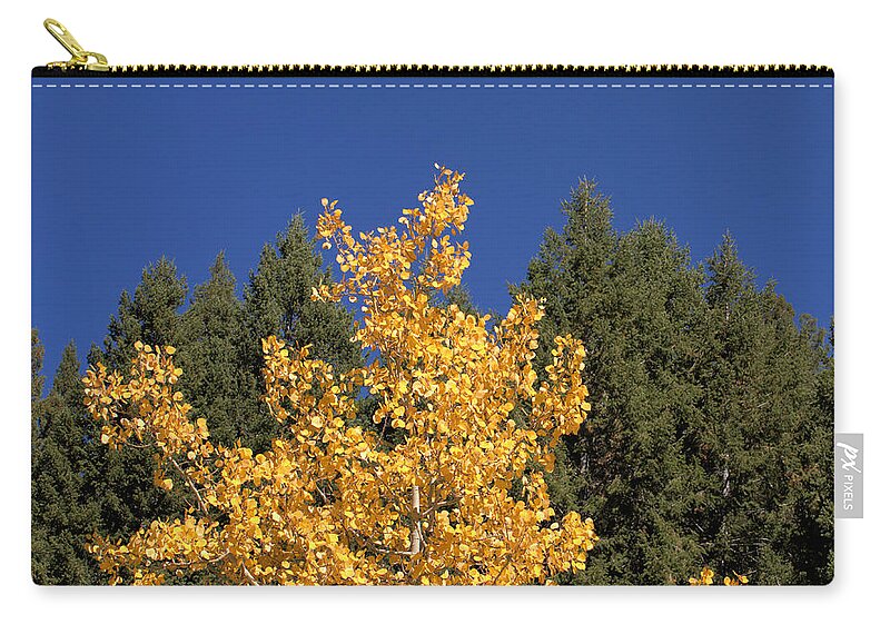Tree Zip Pouch featuring the photograph Gold and Green by Kae Cheatham