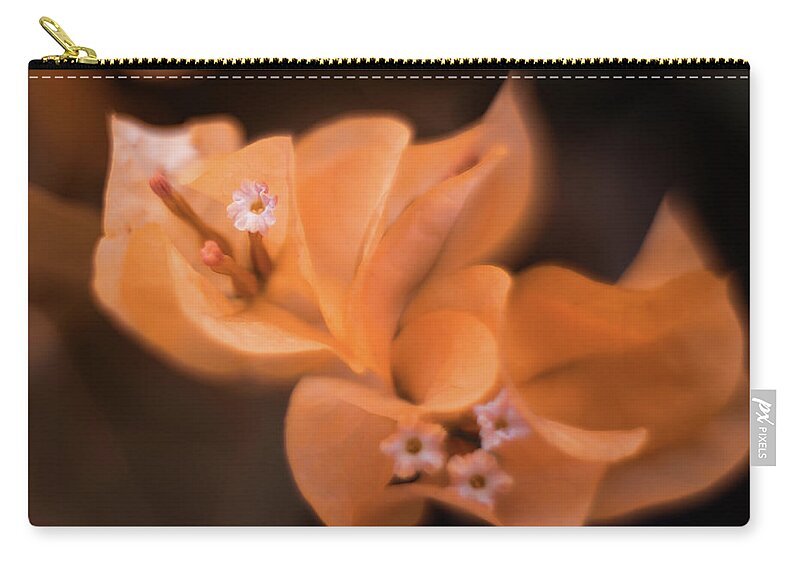 Nature Art Zip Pouch featuring the photograph Golden Angel by Gian Smith