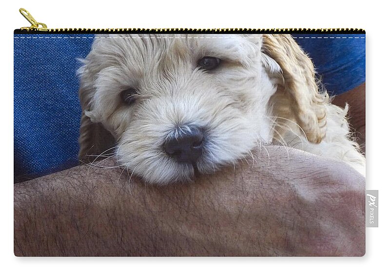 Dog Zip Pouch featuring the photograph Golden Doodle Puppy q8 by Les Classics