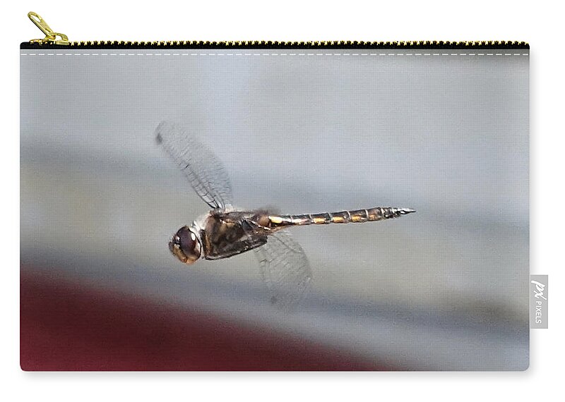 Nature Zip Pouch featuring the photograph Golden Dragonfly Flying Up Close by Russel Considine