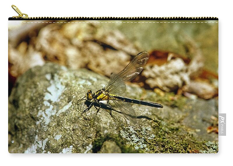 S_7ab3a5hkf032 Zip Pouch featuring the photograph Golden Dragonfly on a moss and Lichen Covered Rock by Douglas Barnett