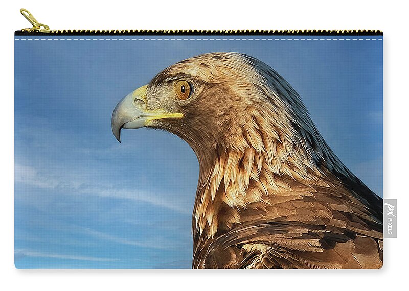 Bird Zip Pouch featuring the photograph Golden Eagle Portrait by Beth Sargent