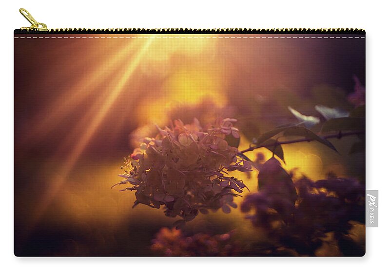 Strawberry Hydrangea Zip Pouch featuring the photograph Golden hour light over hydrangea by Lilia S