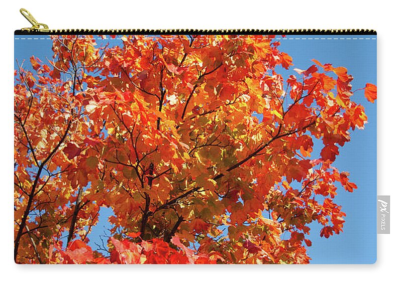 Autumn Zip Pouch featuring the photograph Golden leaves by Average Images