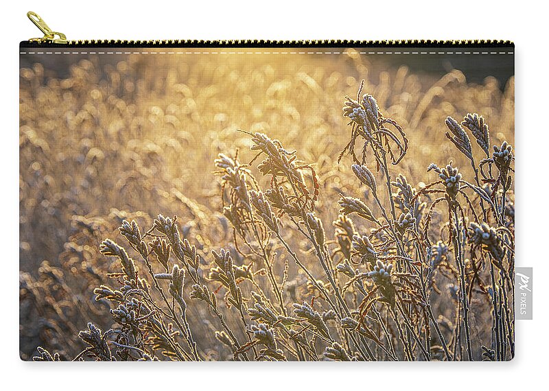 New Hampshire Zip Pouch featuring the photograph Golden Light On Sweetfern by Jeff Sinon