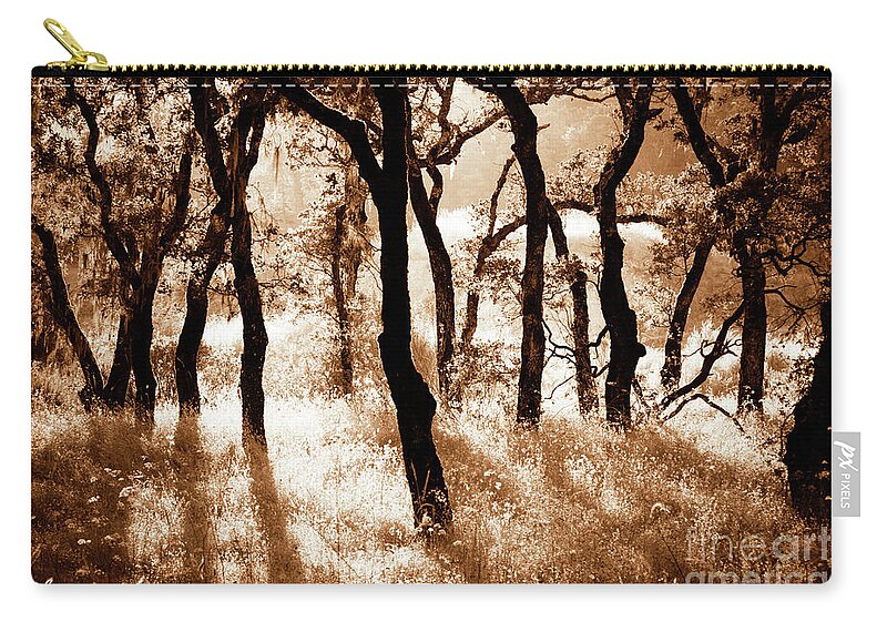 Landscapes Zip Pouch featuring the photograph Light Of Eternity by Roselynne Broussard