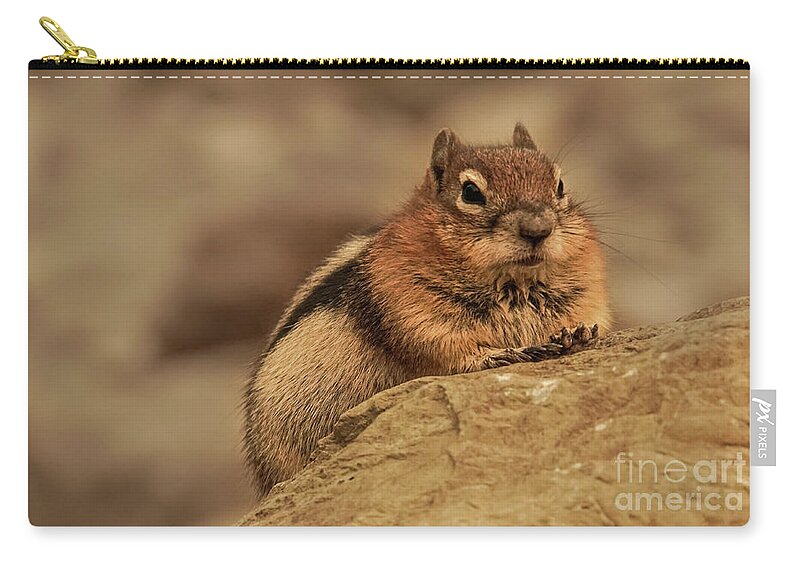 Golden-mantled Ground Squirrel Zip Pouch featuring the photograph Golden-mantled Ground Squirrel Portrait by Nancy Gleason