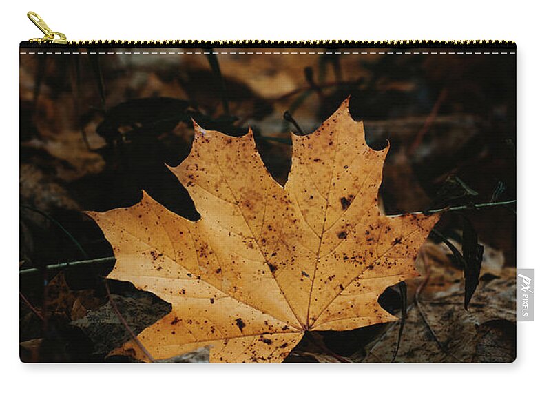 Colours Zip Pouch featuring the photograph Golden maple leaf in dark forest by Vaclav Sonnek