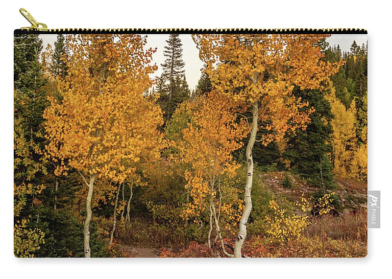 Colorado Zip Pouch featuring the photograph Golden Path by Jack Clutter