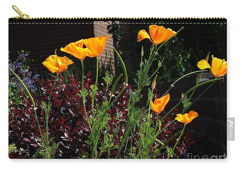 Botanical Zip Pouch featuring the photograph Golden Poppy Greeters by Richard Thomas