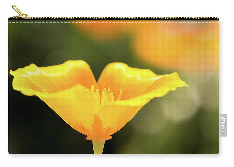 California Poppy Zip Pouch featuring the photograph Golden Poppy by Tanya C Smith