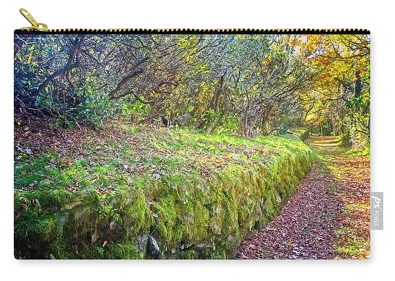 Path Zip Pouch featuring the photograph Good Day For A Walk by Allen Nice-Webb