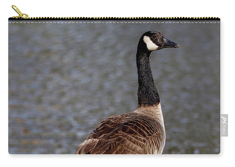 Birds Zip Pouch featuring the photograph Goose by David Beechum