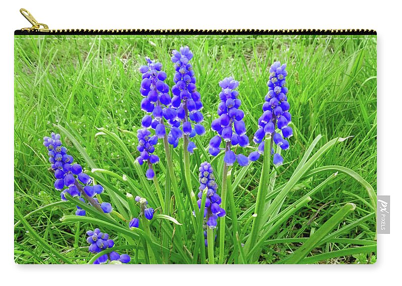 Flower Zip Pouch featuring the digital art Grape Hyacinth Group by Dee Flouton