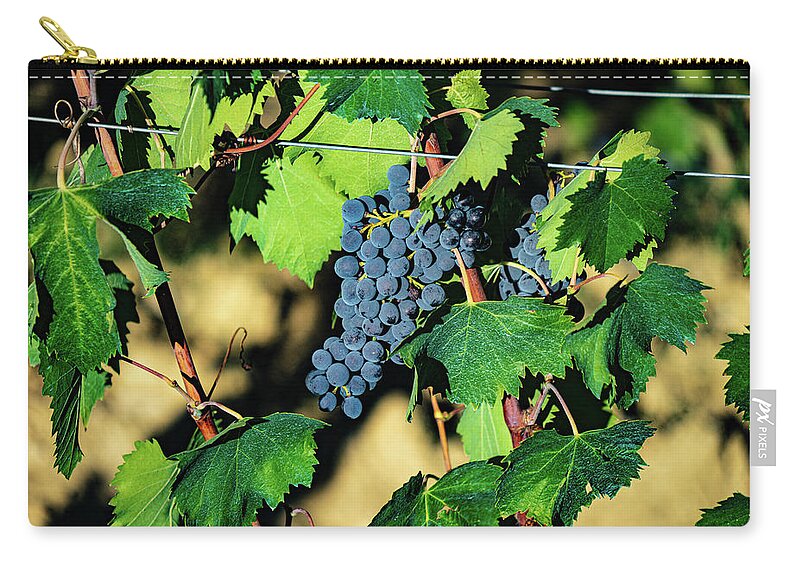 Italy Zip Pouch featuring the photograph Grapes on the vine by Marian Tagliarino