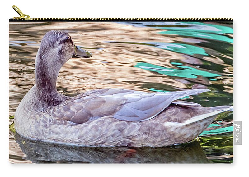 Bird Zip Pouch featuring the photograph Gray Lady Rainbow by Kate Brown