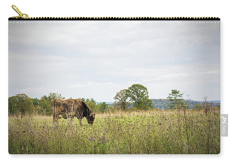 Cow Zip Pouch featuring the photograph Grazing Cow in the Pasture by Angie Tirado