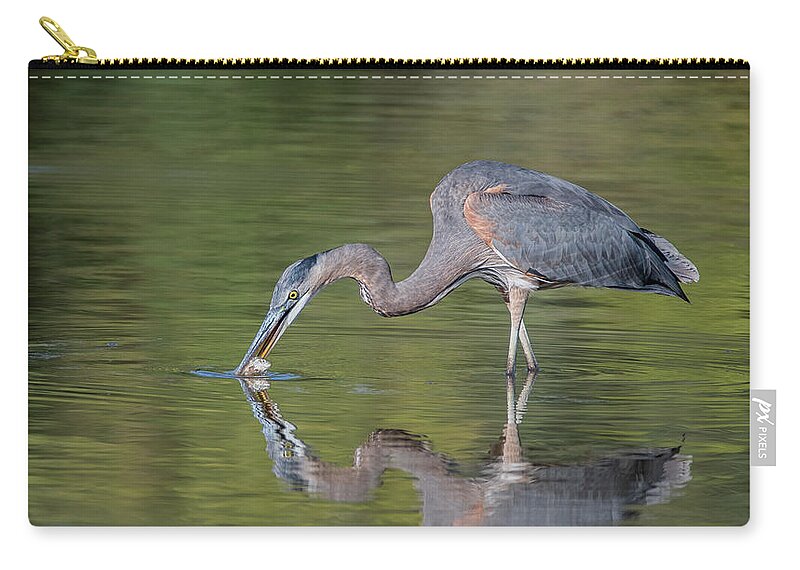 Great Blue Heron Zip Pouch featuring the photograph Great Blue Heron 9862-102121-2 by Tam Ryan