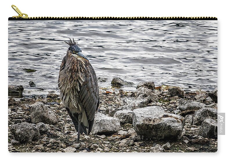 Great Blue Heron Zip Pouch featuring the photograph Great Blue Heron at Carmen Reservoir, No. 1 by Belinda Greb