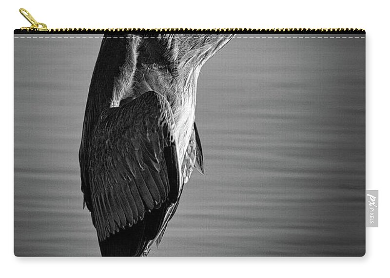  Swan Zip Pouch featuring the photograph Great Blue Heron In Contemplation by Rene Vasquez