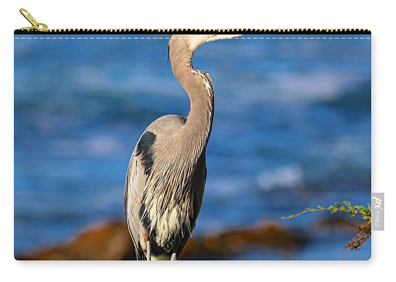 Great Blue Heron Zip Pouch featuring the photograph Great Blue Heron by Perry Hoffman