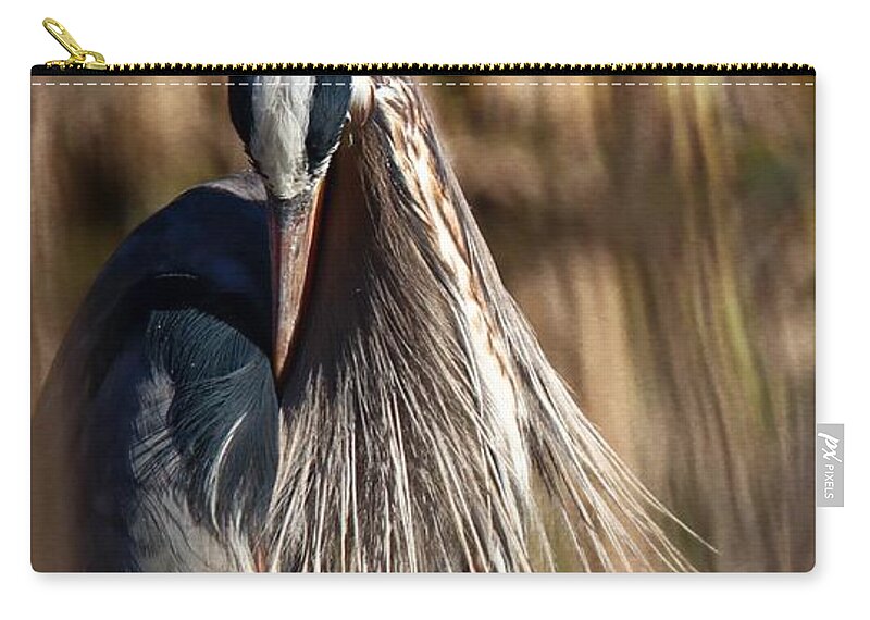 Bird Zip Pouch featuring the photograph Great Blue Heron Portrait V by Susan Rydberg