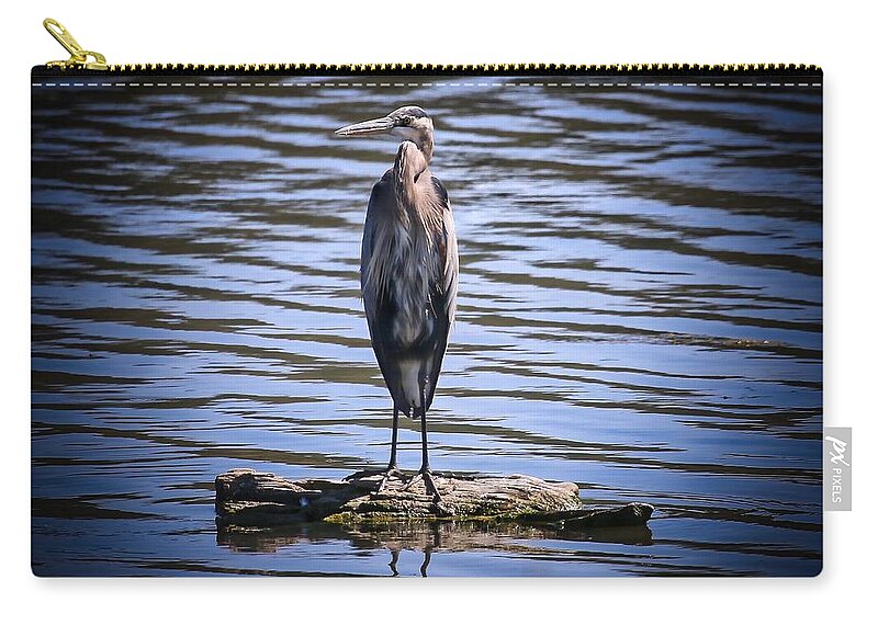 Heron Zip Pouch featuring the photograph Great Blue Heron by Veronica Batterson
