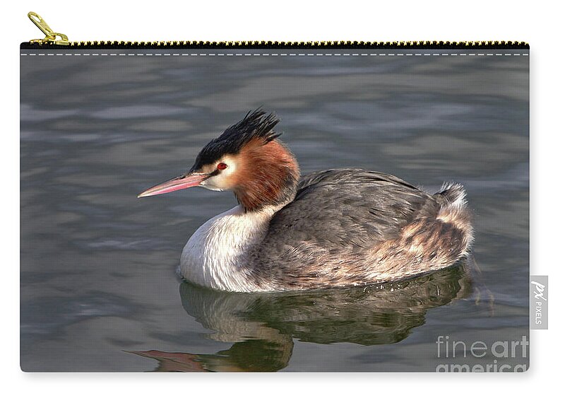 Nature Carry-all Pouch featuring the photograph Great Crested Grebe by Baggieoldboy