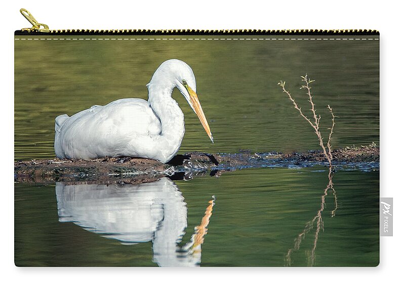 Great Egret Zip Pouch featuring the photograph Great Egret 0336-102521-2 by Tam Ryan